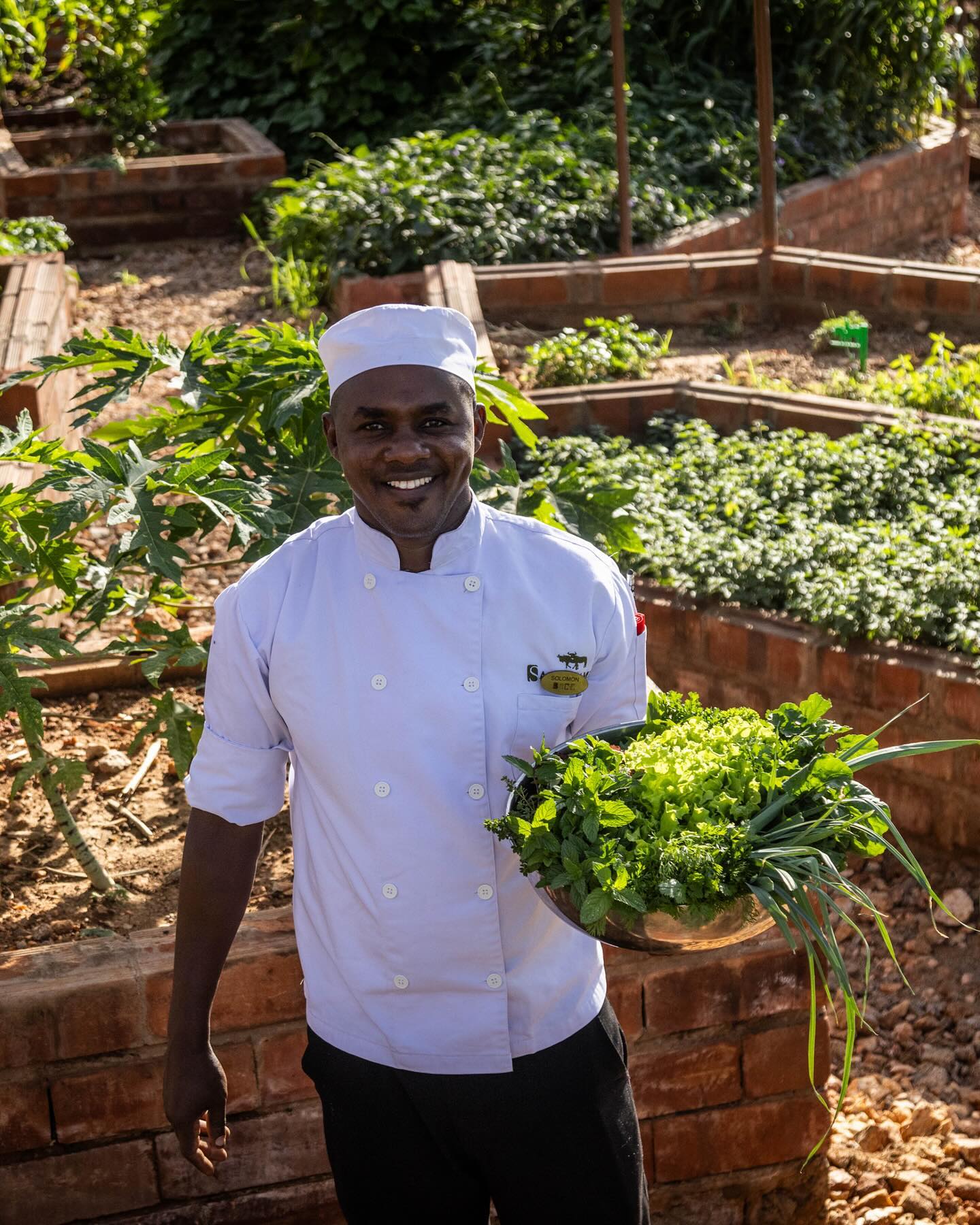 The true essence of farm-to-table dining at Sasaab 🌿

Our dedicated team thrives in the challenges of the arid Samburu landscape, cultivating a lush garden that defies the harsh climate. From local goats and cattle manure to help grow an array of organic vegetables to eggs from our chickens, we ensure every meal is a celebration of sustainability and freshness. 

#DiscoverTheSafariCollection #WelcomeToKenya #TheSafariCollection #OnSafari #Safari #Sasaab #SafariActivities #Samburu #FarmToTable #Shamba #Garden #Sustainability