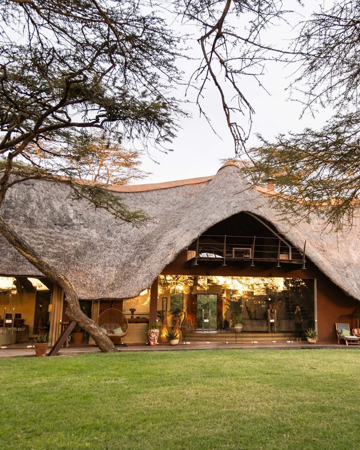 Escape to Solio Lodge, a haven nestled amongst Kenya’s wildlife. Our lodge is an oasis of tranquillity, embracing the natural world with its verdant theme. Discover diverse wildlife, watch dramatic sunsets and learn about the myriad of birdlife from our expert guides 🥂 

#DiscoverTheSafariCollection #WelcomeToKenya #TheSafariCollection #SolioLodge #Conservation #Rhino #BlackRhino #WhiteRhino #RhinoConservation #Sundowner #MountKenya