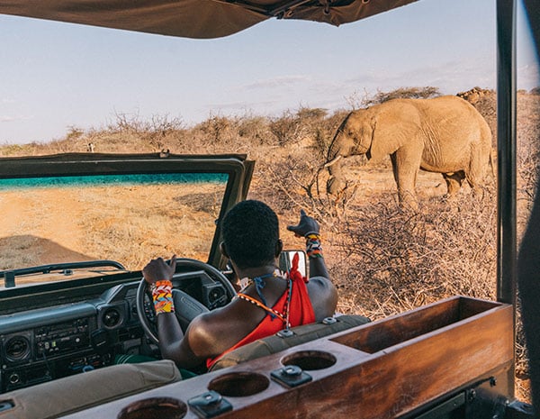 Sasaab | luxury eco lodge » The Safari Collection